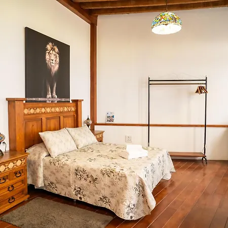 Guest house Necana