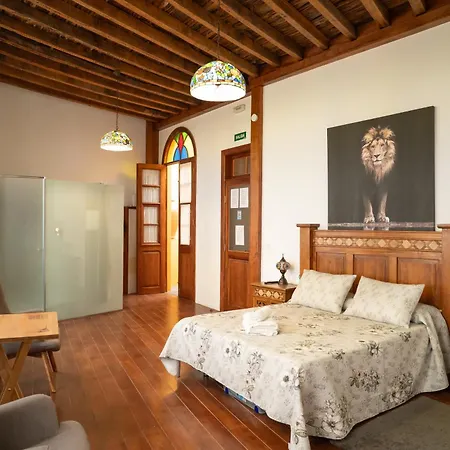 Necana بيت ضيافة إيكود ذي لوس فينوس